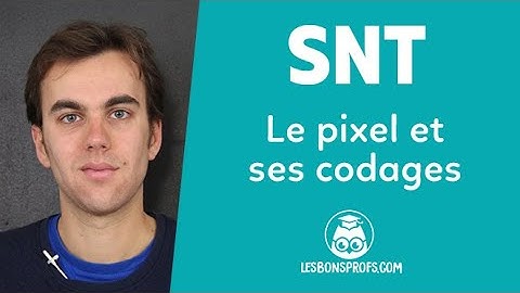 Le pixel et ses codages - SNT - Seconde - Les Bons Profs