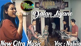 Download Lagu Nabila - Dalan Liyane Cover By New Citra Music Banyuwangi(Latihan Version) MP3 Download Lagu Nabila - Dalan Liyane Cover By New Citra Music Banyuwangi(Latihan Version) MP3