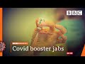 Over-70s could get booster Covid jab from September - vaccines minister @BBC News live 🔴 BBC