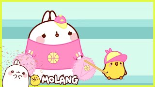 Molang - The supporters | Comedy Cartoon | More ⬇️ ⬇️ ⬇️