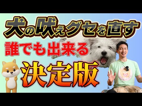 犬が吠える理由5つと対処法｜要求・警戒・不安吠えを直すコツ