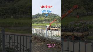 괴산읍에서/In Goesan-eup #shorts 날아가는새/Flying Bird #남아있는새/remaining bird #윤드림 /Yoon Dream