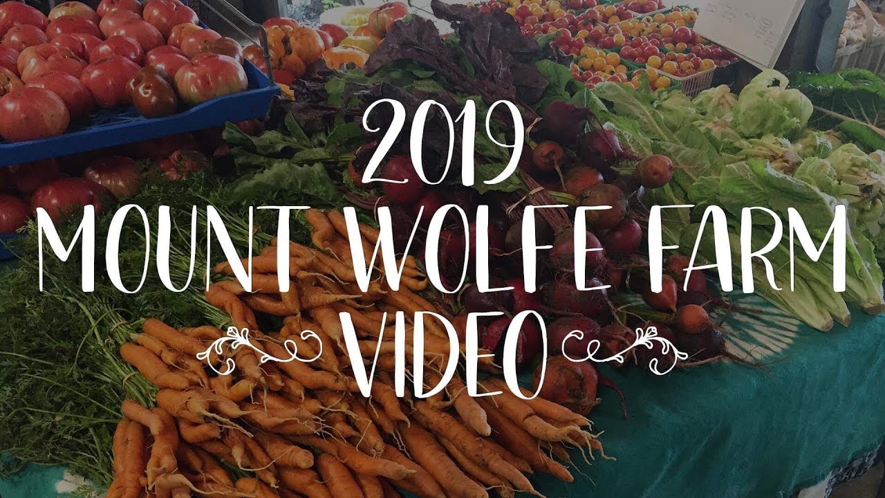 Mount Wolfe Farm Weekly Baskets Local Produce & More YouTube