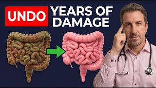 The Gut Reset Protocol: Undo Years Of Damage Naturally