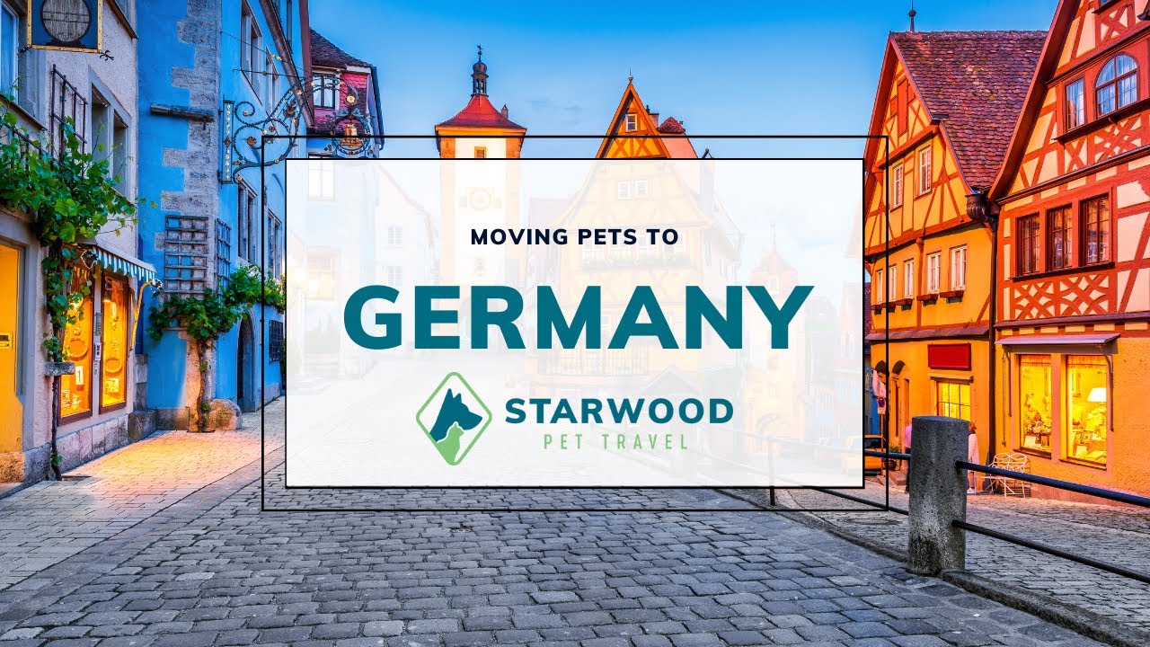 Moving Pets to Germany Starwood Pet Travel YouTube