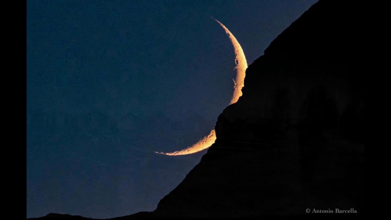 Pier Morandi - NOTHING BUT LOSERS (Pier Morandi)