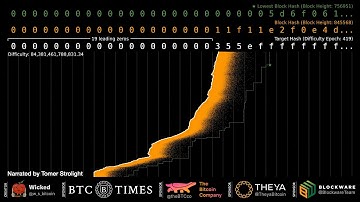 Bitcoin Target Hash Animation w/ Tomer Strolight (5/29/24 Update)