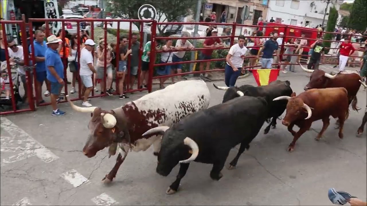 2025 MESONES ENCIERRO Domingo 31-Agosto. SPS Solito Producciones Spain