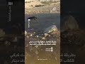 بطريقة فكاهية شاهد كيف تحدث كركي للكلاب الضالة بعد مقترح الـ 5 آلاف دينار 