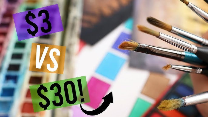 Cheap VS Expensive Brushes 🖌️. 