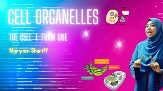 Cell Organelles Part 2 I Chloroplasts, Endoplasmic Reticulum, Golgi apparatus I Form 1 & Grade 8