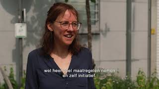 Tuinstraten In Antwerpen