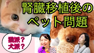 腎臓移植後ペットと過ごせる？飼ってもいいの？まさか手放さないといけないの？