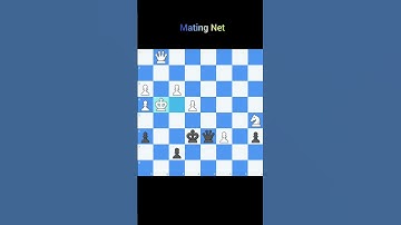Beautiful Mating Net #chess