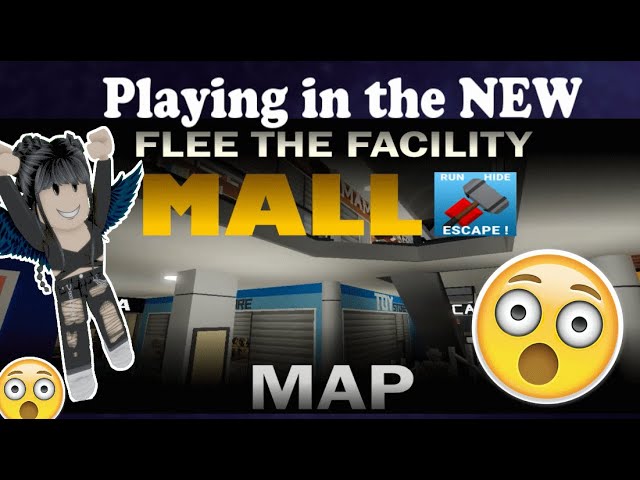 Flee The Facility teamers : r/fleethefacility