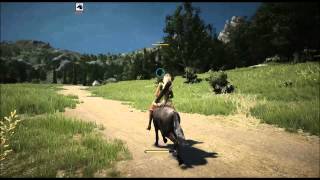 Black Desert - Donkey Mount