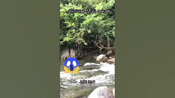 سلام صبح بخیر 