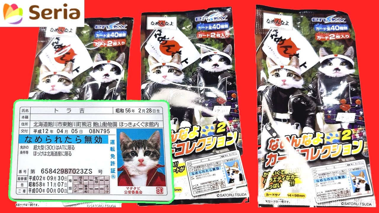 セリア】なめ猫なめんなよカードコレクション2を開封する！免許証が 