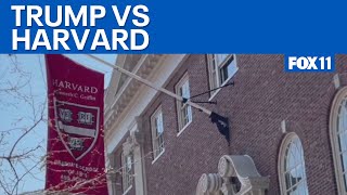 Trump bars Harvard from enrolling international students  | FOX 11 LA