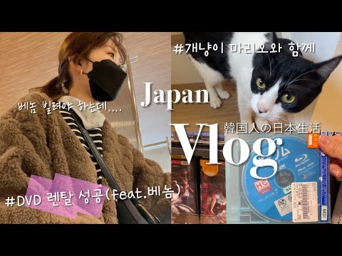 Eng/JP 일본 브이로그 |  일본 DVD샵 쯔타야에 가요| 개냥이 마리오네서 떡볶이 모임 | 한일부부 | 日韓夫婦 | ヴェノムレンタル、人好きのマリオ君　Korean vlog