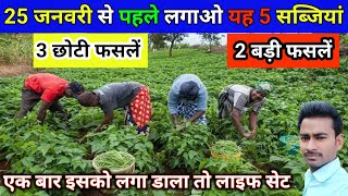 जनवरी महीने में सब्ज़ी की खेती कैसे करें | सही फसल चयन | किसान के लिए लाभकारी