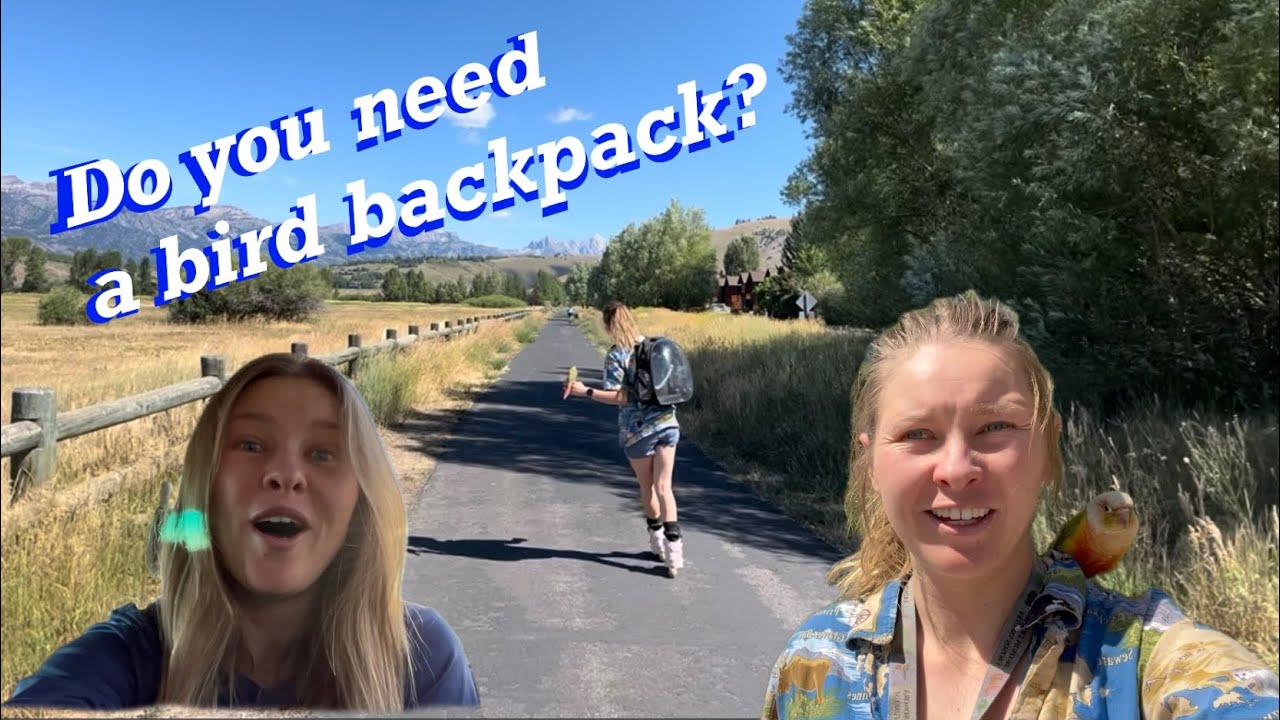Should you get a bird backpack? 