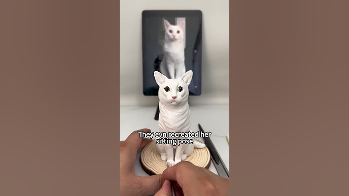You can now keep your fur baby close to your heart ❤️🐶🐱 #pets #doggielife #cat #gift #cute #puppy