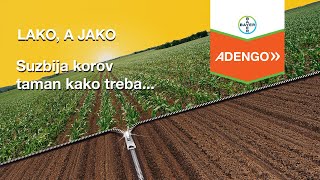 Adengo® | Jednostavno rešenje u borbi protiv korova