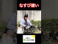 ママは茄子が大嫌い! #農ある暮らし #家庭菜園