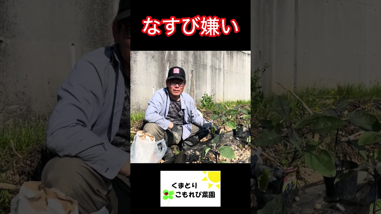 ママは茄子が大嫌い! #農ある暮らし #家庭菜園