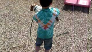 MVI_0370.AVI