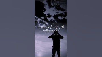 لا اقسم بيوم القيامة | تلاوة هيثم الرواحي #اكسبلور #لايك #القرآن_الكريم #تلاوة_خاشعة