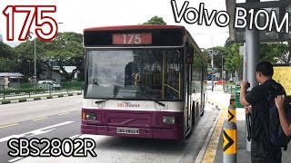 SBS2802R on 175 | SBST Volvo B10M MKIV DM3500 SBS2802R on 175 | SBST Volvo B10M MKIV DM3500