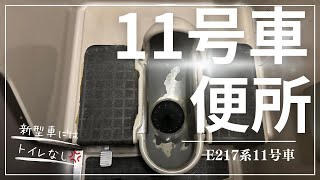 【JR東日本】電車はこの・トイレ・が好き! #E217 #japan #鉄道 #jr東日本 #電車