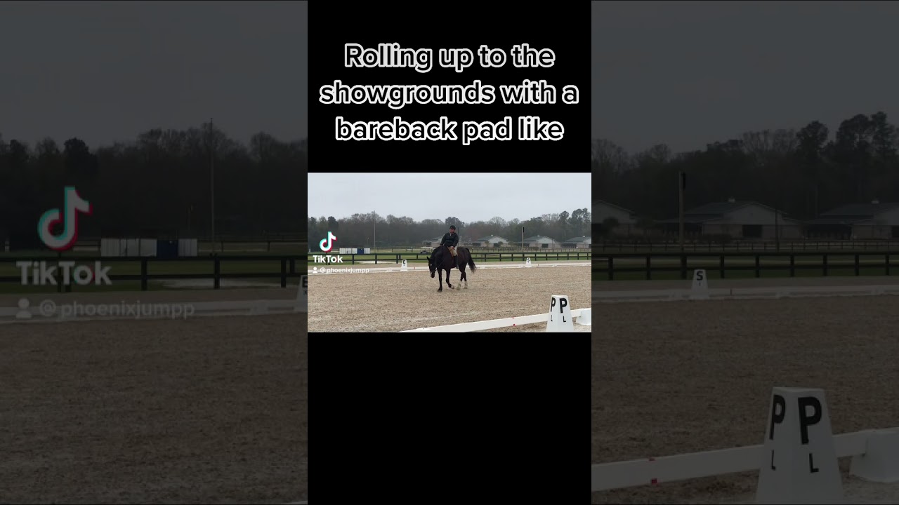 Bareback pad at the show warm up