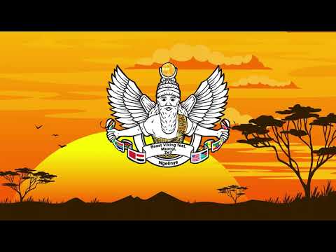 Beast Viking feat. Msongi, Ze2 - Ngelinye