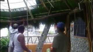 Toapcio Palapa in the Making