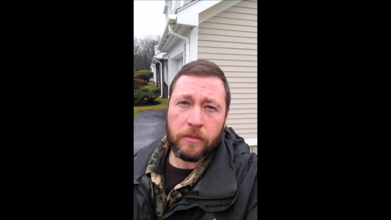 Flying Squirrel Removal in Bangor, Maine