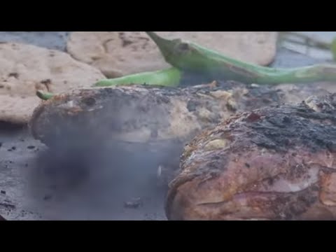 الهدود والراحه النفسيه واجمل سمك مشوي ع نهر النيل وسط الطبيعه الريفيه المصريه 