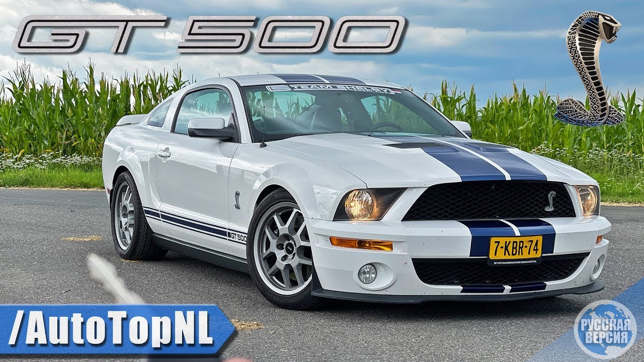 Обзор 2007 Ford Mustang Shelby GT500: характеристики, цена, отзывы - автосалон АвтоМания