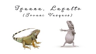 Iguana, Lagalto (Jovani Vazquez)