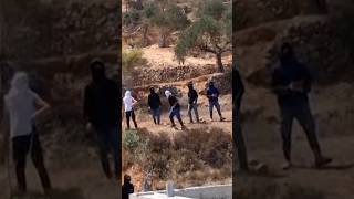 Israeli settlers attack homes in occupied West Bank