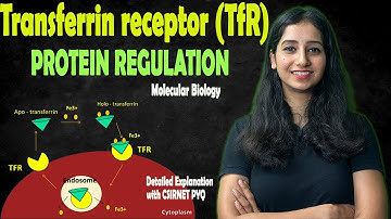 TRANSFERRIN RECEPTOR TRANSLATION REGULATION I Mol Bio I Detailed Explanation with CSIR NET PYQ