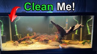 DIY Aquarium Water Change Hacks: Save Time & Money!