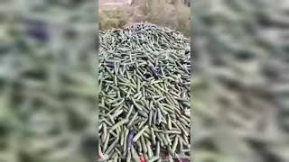 Semt pazarları kapalı olunca çiftçi elinde kalan tonlarca ürünü çöpe döktü