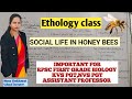 Social life in honeybee for Rpsc 1st grade biology,KVS,NVS , assistant professor