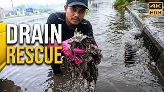 Flooded Drain Rescue! Clearing Years of Trash by Hand