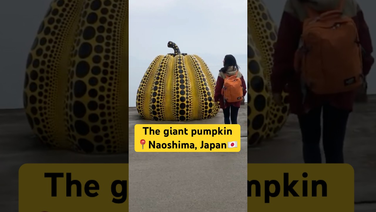 Yayoi Kusama’s art