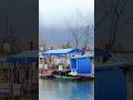 हुस्न पहाड़ों का ❤#travel #vlog #oldsong #shreenagar #kashmir #nature #rain#houseboat #youtubeshorts