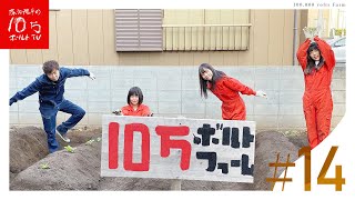 10万ボルトファーム春の大収穫祭‼︎有言実行‼︎収穫した野菜で絶品トマト鍋♪